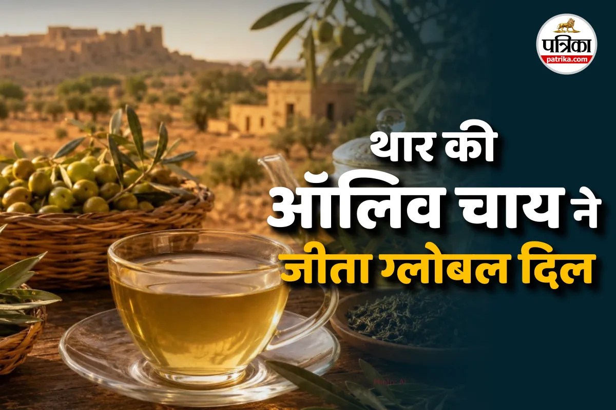 International Tea Day 2026: राजस्थान की ऑलिव लीफ टी, थार की मिट्टी से ग्लोबल हेल्थ ट्रेंड तक