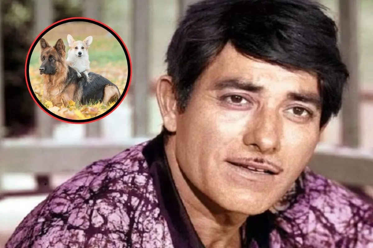 पालतू डॉग के नाम पर सबको ‘जानी’ बुलाते थे राज कुमार, फिल्ममेकर ने बताया बड़ा कारण