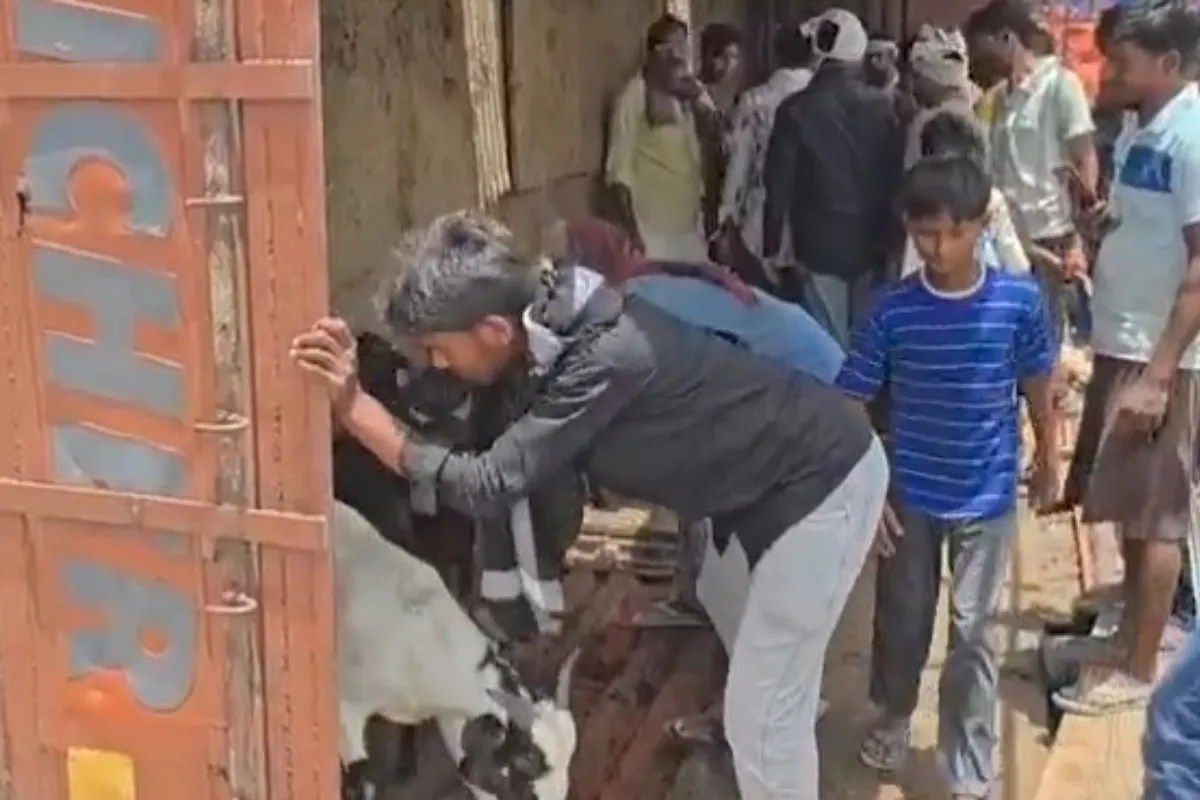 आपदा में अवसर! कौशांबी में ट्रक पलटने के बाद घायलों को छोड़ लोग लूटने लगे बकरियां, वीडियो वायरल
