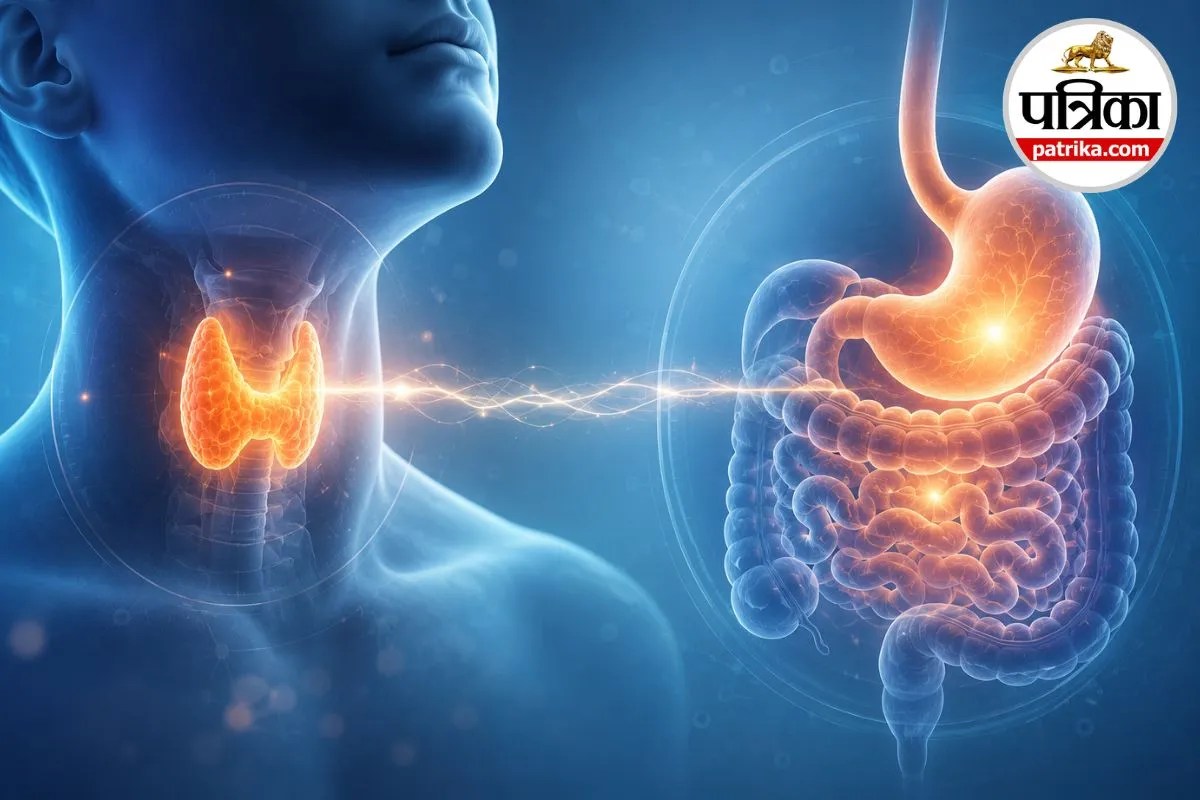 Thyroid Treatment in Hindi: पेट की खराबी से बेअसर हो सकती है थायराइड की दवा, डॉक्टरों से जानिए कब्ज और एसिडिटी का कनेक्शन
