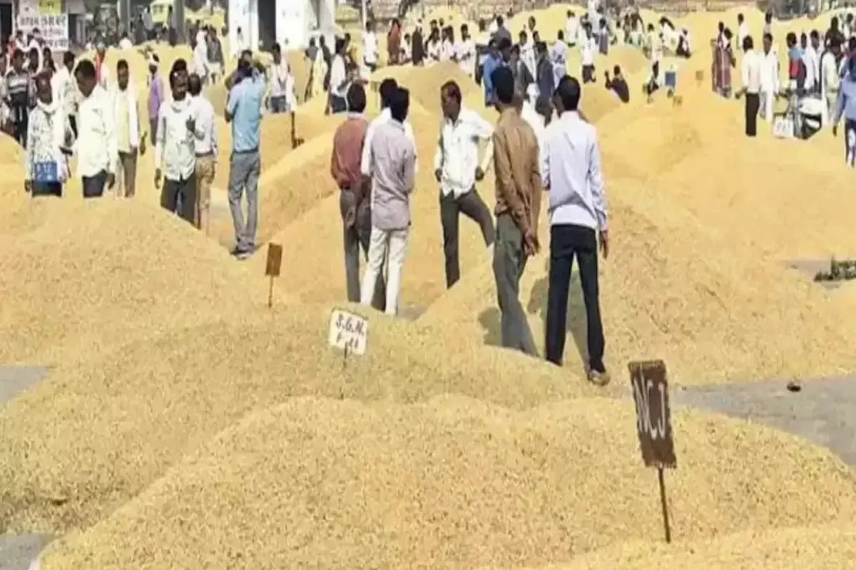 कोटा मंडी भाव : सोयाबीन, चना व लहसुन तेज