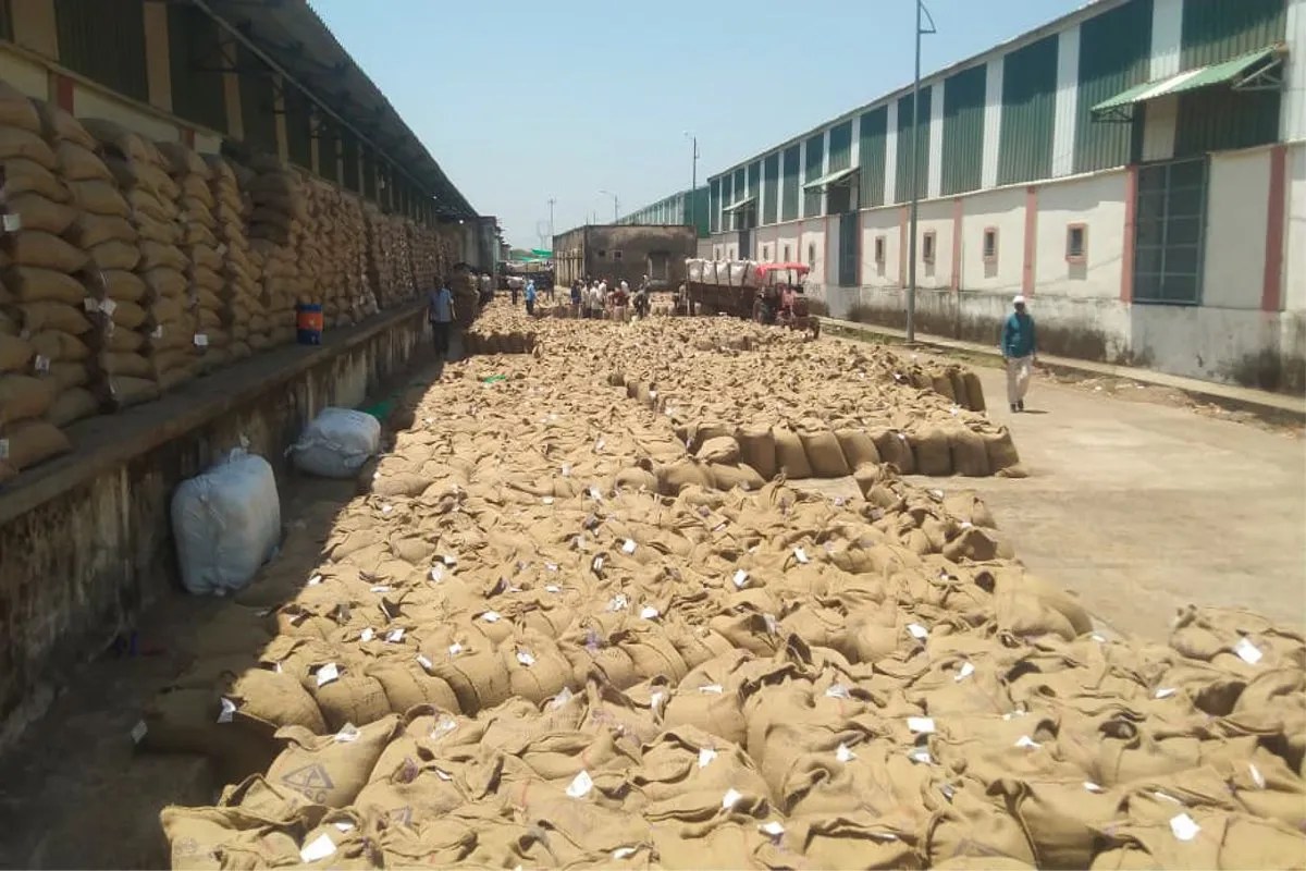 नहीं सुधर पा रही परिवहन व्यवस्था, समर्थन मूल्य केन्द्रों पर बिगड़ रही स्थिति, तौल कार्य भी होने लगा प्रभावित