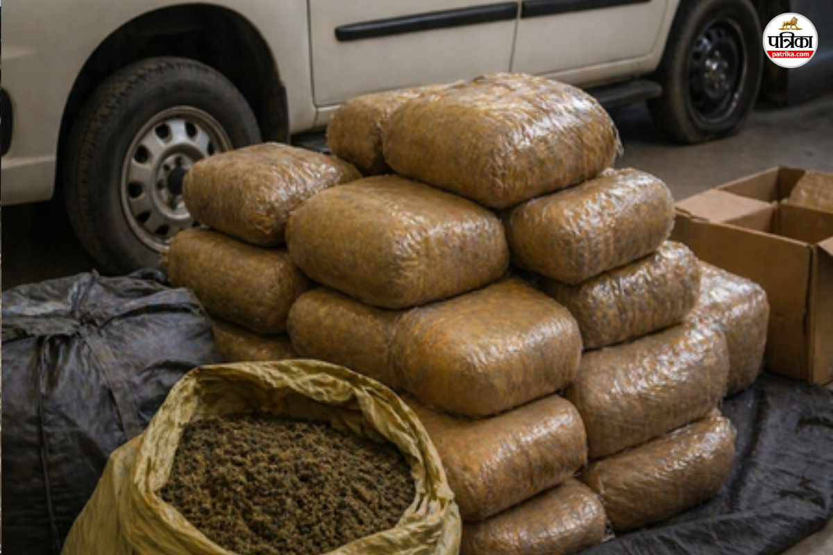 ओडिशा पुलिस की बड़ी छापेमारी: 1771 आरोपी गिरफ्तार, 3000 KG गांजा, 20 देसी बंदूकें, 966 गाड़ियां जब्त
