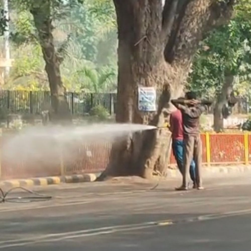 प्रयागराज में रक्षा मंत्री के दौरे पर विशेष सफाई अभियान:सड़कें धूली गई रूट किया क्लीन, जनता बोली रोज होना चाहिए