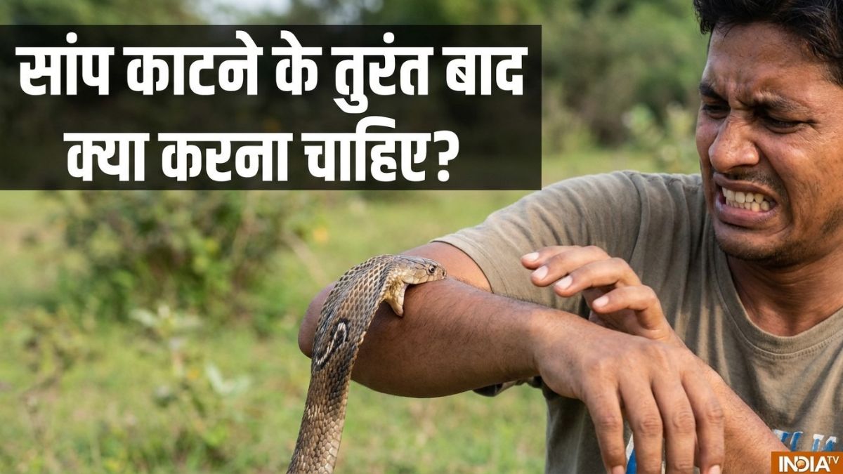 सांप काटने के तुरंत बाद क्या करना चाहिए? ये बातें बचा सकती है आपकी जान