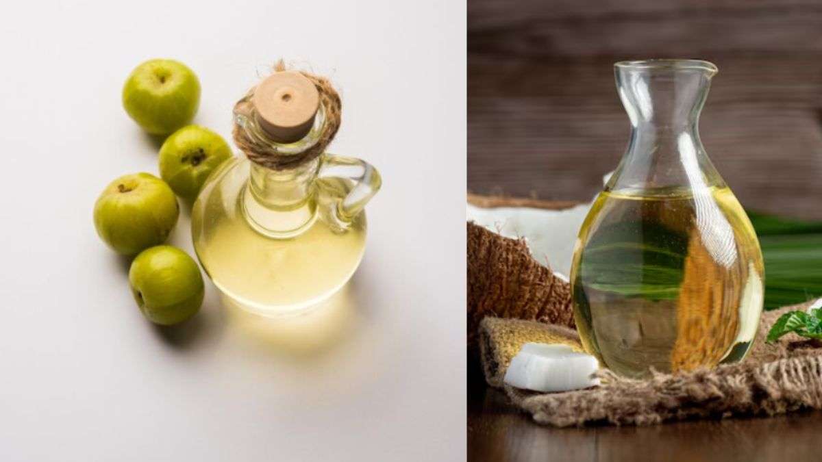 आंवला हेयर ऑयल या नारियल तेल, बालों को काला बनाने में कौन सा तेल कारगर है