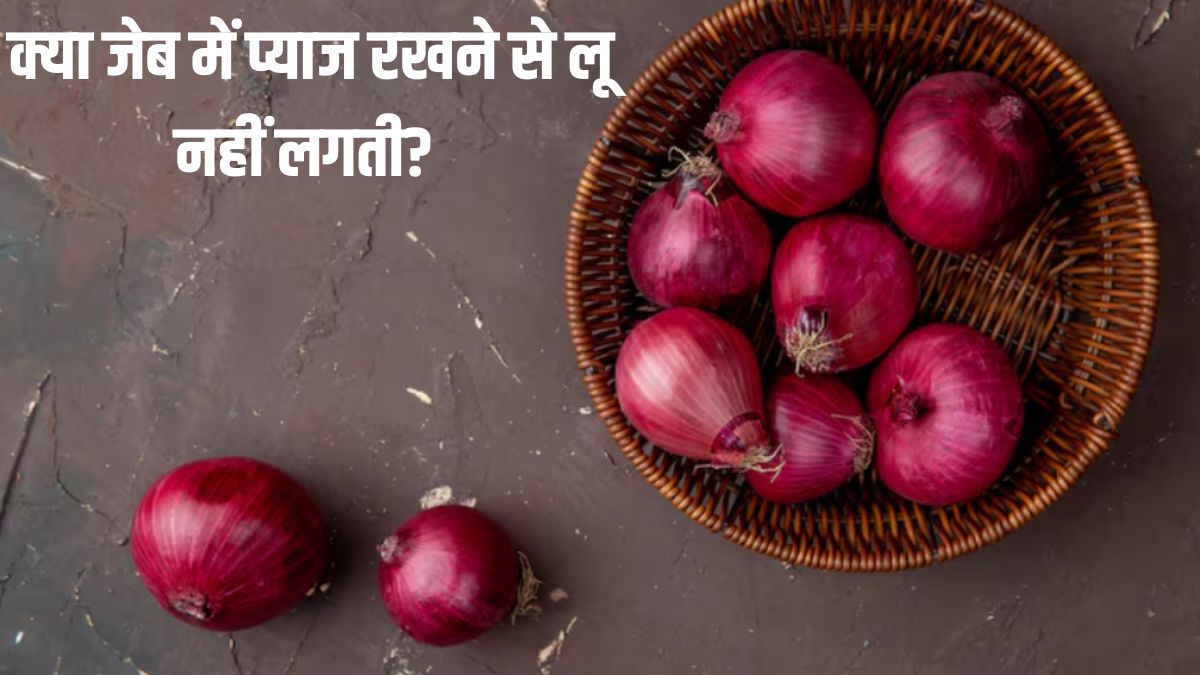 क्या जेब में प्याज रखने से लू नहीं लगती? जानें इसके पीछे की सच्चाई