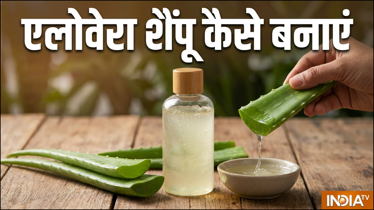 घर में एलोवेरा से बनाएं नेचुरल हर्बल शैंपू, जानिए इसमें क्या-क्या डालकर तैयार किया जाता है, लंबे और घने होंगे बाल