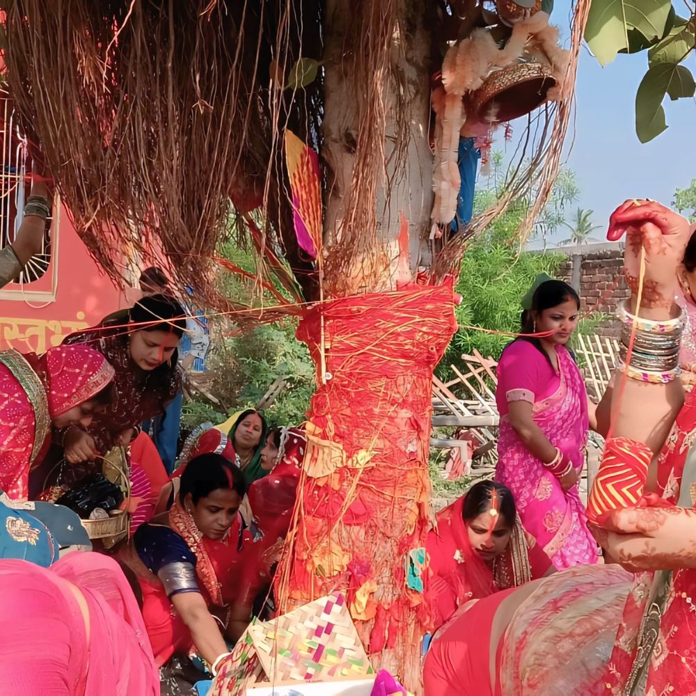 ओबरा पूरे प्रखंड क्षेत्र में धूमधाम से मनाई गई वट सावित्री पूजा