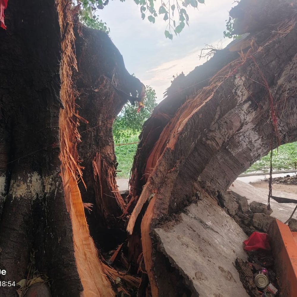 बदायूं में आंधी से मठ पर पेड़ गिरा:मलबे में दबकर एक युवक की मौत, बारिश से बचने के लिए नीचे खड़े थे