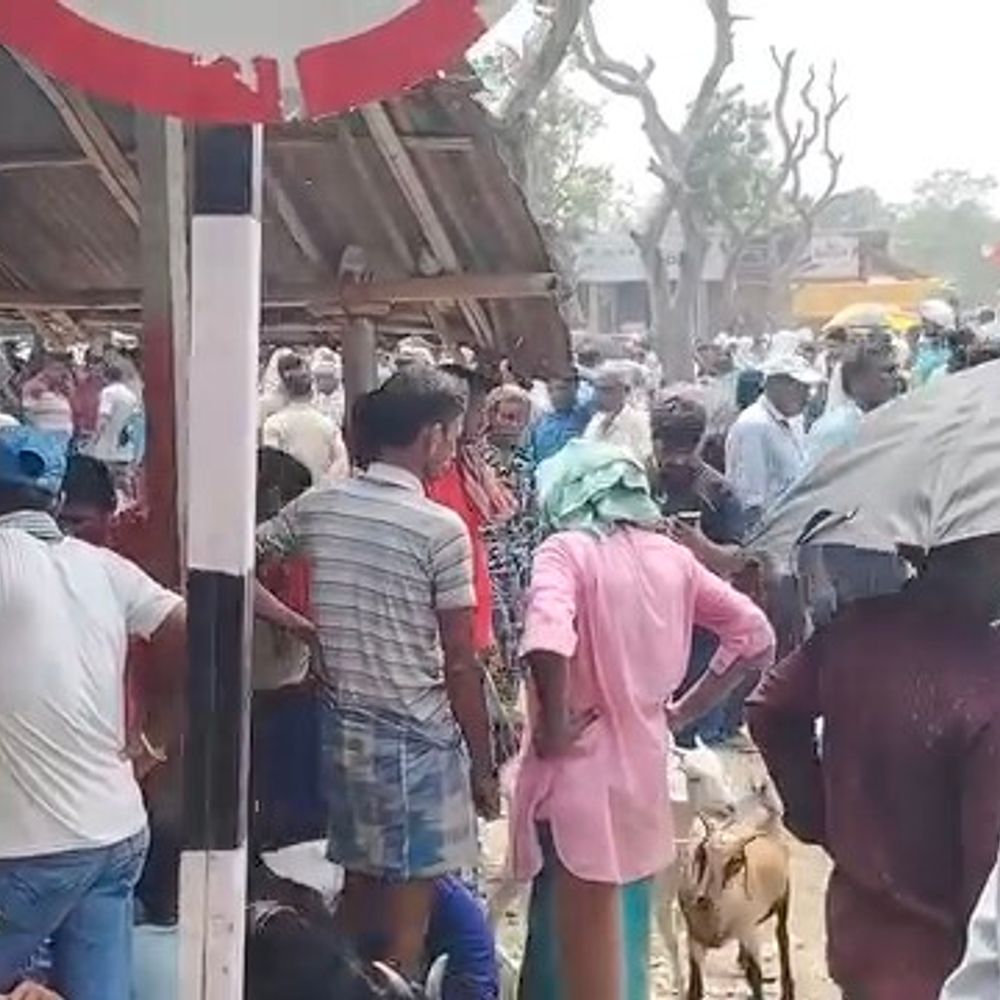 कटिहार में बकरीद को लेकर मनसाही हाट में भीड़:50 हजार रुपए से अधिक के बकरे बाजार में मौजूद
