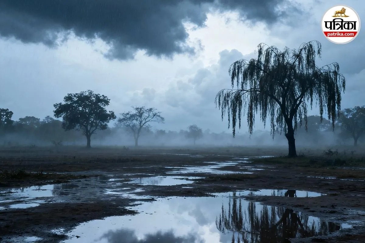 Bihar Weather: ‘काल बैसाखी’ से कांपा बिहार, 135 KM की रफ्तार से चला तूफान, कई जिलों में भारी नुकसान