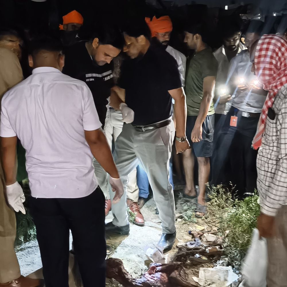 मैनपुरी में अज्ञात पशु का कंकाल मिला:गौ रक्षक दल और पुलिस मौके पर, सैंपल जांच के लिए भेजे गए