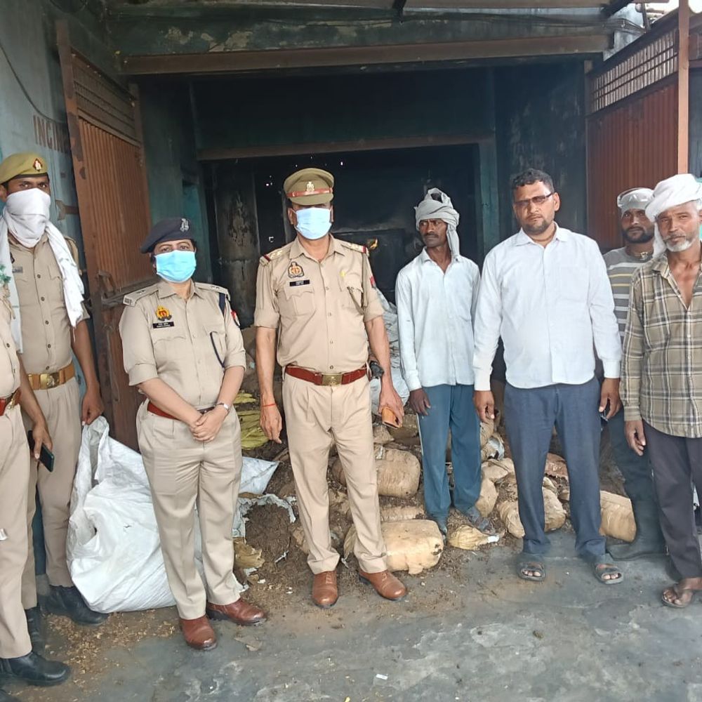 कासगंज में ऑपरेशन दहन के तहत 1568 किलो गांजा नष्ट:7.84 करोड़ रुपए का गांजा वैज्ञानिक विधि से विनष्ट