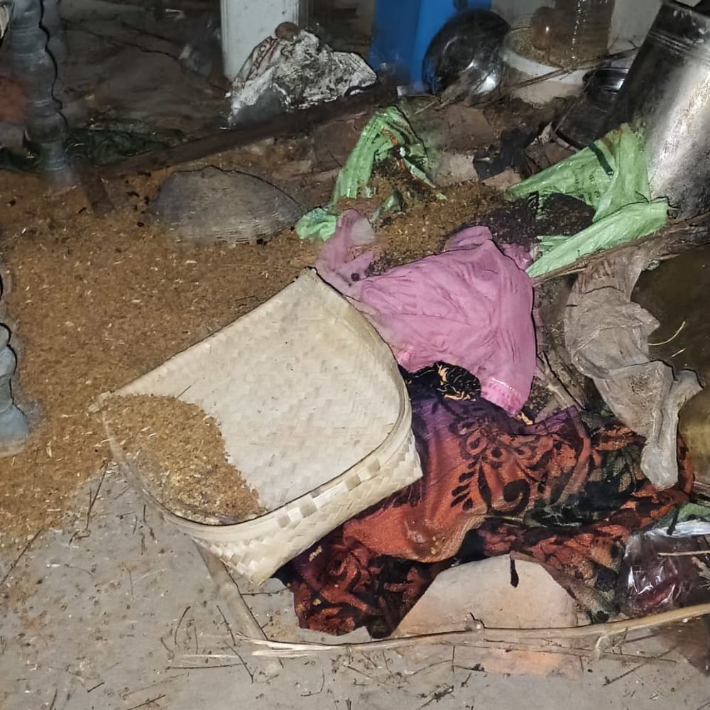 तीन हाथियों ने खेत-घर में मचाई तबाही:फसल-अनाज को पहुंचाया नुकसान, बीटीआर टीम ने खदेड़ा