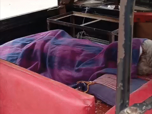 समस्तीपुर में रोड क्रॉस कर रहे बुजुर्ग की मौत:हाट से सब्जी खरीदकर घर लौट रहे थे, तेज रफ्तार ट्रक ने रौंदा; ड्राइवर फरार