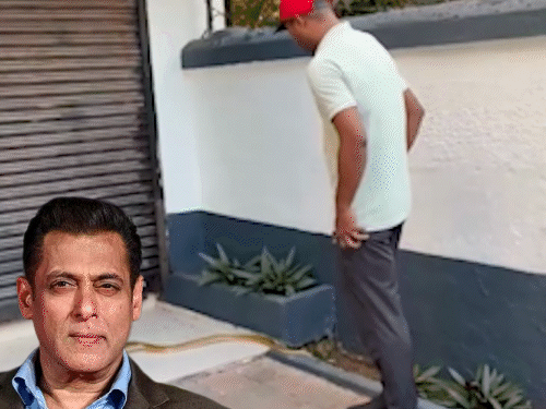 सलमान के गैलेक्सी अपार्टमेंट में मिला 5 फुट लंबा सांप:मौके पर पहुंची रेस्क्यू टीम, बिना सुरक्षा उपकरण के हाथों से पकड़ा