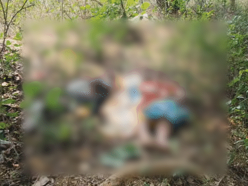 जामताड़ा के जीतपुर जंगल में प्रेमी जोड़े का मिला शव:लाश के पास जहर की बोतल मिली, आत्महत्या की आशंका; ग्रामीणों ने दी पुलिस को सूचना