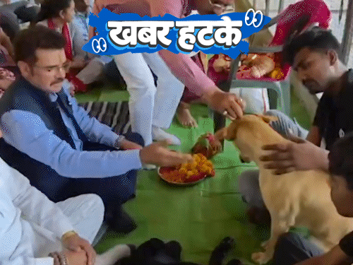 खबर हटके- नसबंदी से पहले कुत्तों की पूजा की गई:एटीएम में खुली बाल काटने की दुकान; सीधे ट्रांसफॉर्मर से मोबाइल चार्ज कर रहे लोग