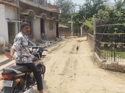 दरभंगा में कब्रिस्तान की दीवार गिरने पर विवाद:14 लाख की योजना पर उठे सवाल, प्रमुख ने राजनीतिक साजिश करार दिया