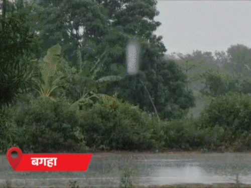 पूरे बिहार में आज भी बारिश का ऑरेंज अलर्ट:4 मई के बाद फिर बढ़ेगी गर्मी; कैमूर में 5, रोहतास में 9 डिग्री गिरा पारा