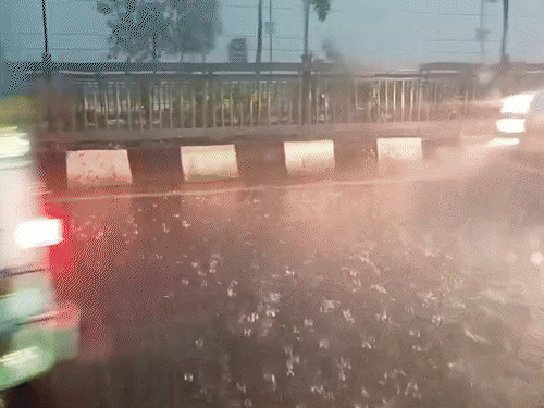 पटना में तेज आंधी के साथ झमाझम बारिश:भारी बारिश को लेकर रेड अलर्ट, कई इलाकों में दिन में छाया अंधेरा; उमस भरी गर्मी से राहत