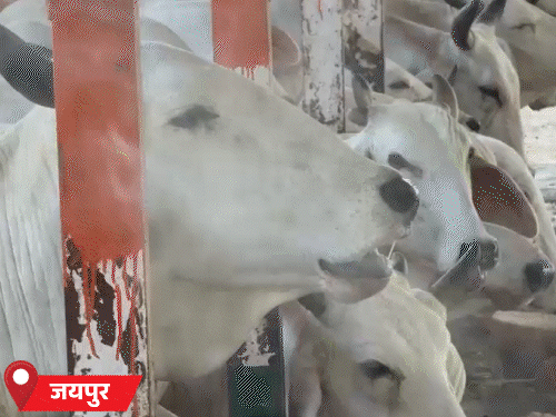 राजस्थान में आज भीषण गर्मी का ऑरेंज अलर्ट:उदयपुर और सीकर में सबसे गर्म दिन, 9 शहरों में तापमान 45 डिग्री के पार
