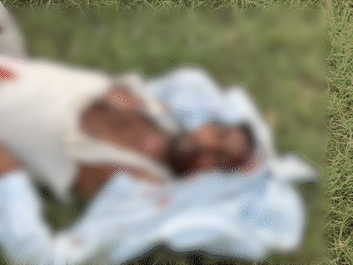 सड़क हादसे में बाइक सवार की मौत:नालंदा में टक्कर के बाद मोटर साइकिल में लगी आग, ग्रामीणों ने खदेड़कर स्कॉर्पियो ड्राइवर को पकड़ा