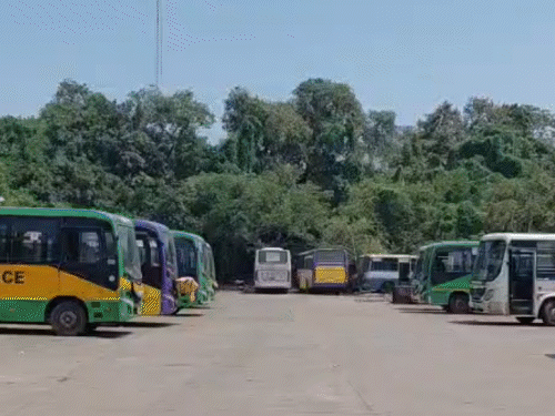 सचिवालय कर्मियों के लिए 18 मई से चलेंगी इलेक्ट्रिक-पिंक बस:शहर में ट्रैफिक प्रेशर और पेट्रोल-डीजल की खपत कम करना उद्धेश्य, सिटी में पॉल्यूशन भी होगा कंट्रोल