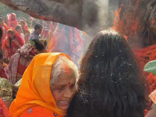वट सावित्री पूजा के दौरान पेड़ में लगी आग; VIDEO:दीया, अगरबत्ती से आग लगने की आशंका, बाल्टी से पानी डालकर पाया काबू