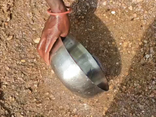 कोडरमा के कारी पहाड़ी में जल संकट:20 साल से दूषित पानी पीने को मजबूर हैं लोग, घर से आधा किलोमीटर दूर मिलता है पानी