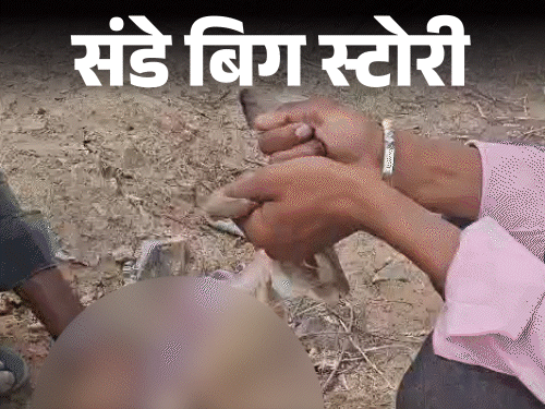 एक हजार के लिए प्रतिबंधित खरगोश का शिकार:जयपुर के जंगलों में 7 दिन पड़ताल, कैमरे पर शिकारी बोले- होम डिलीवरी भी कर देंगे