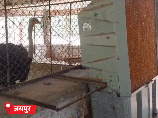 राजस्थान में आज भीषण गर्मी का अलर्ट:पारा 46 के पार पहुंचा, बाड़मेर, जैसलमेर से ज्यादा गर्म जयपुर की रात