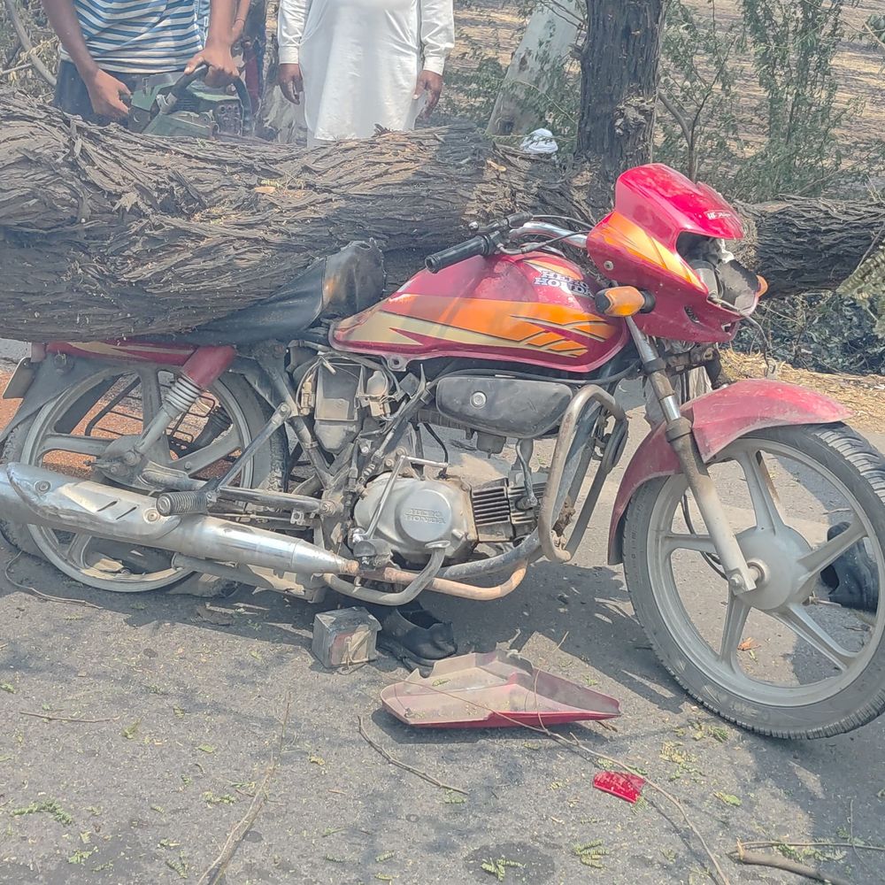 रानियां में चलती बाइक पर गिरा पेड़:मोटरसाइकिल सवार गंभीर घायल, अस्पताल में कराया गया भर्ती, किसान ने खेत में लगाई आग