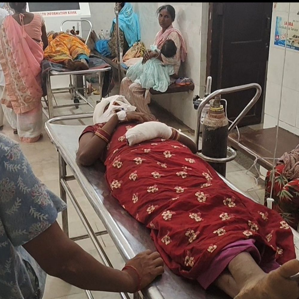 पश्चिमी सिंहभूम के बालजोड़ी में भालू का हमला:नवविवाहिता गंभीर रूप से हुई घायल, जमशेदपुर एमजीएम रेफर