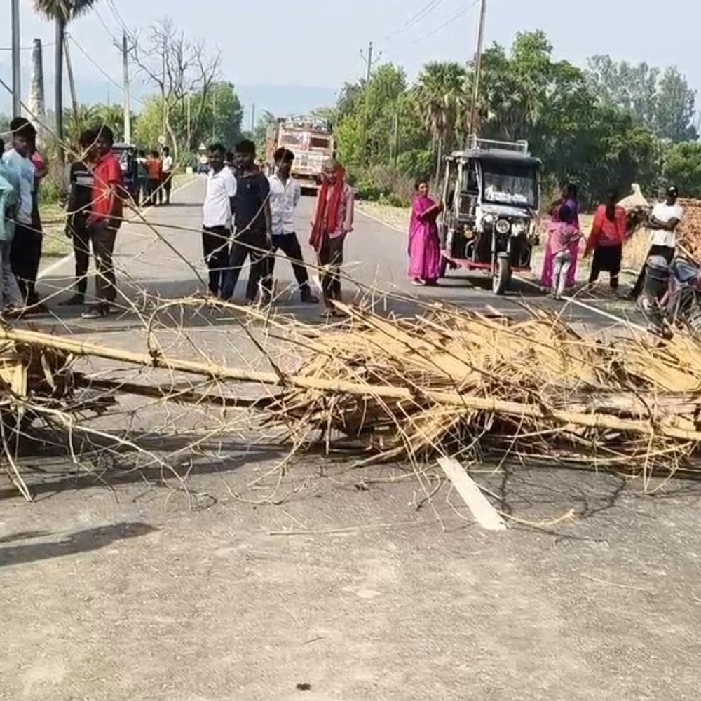 40 दिन से हाथियों का तांडव जारी, 3 की मौत:स्थानीय लोगों ने सड़क जाम कर किया प्रदर्शन, बोले-वन विभाग हाथियों पर काबू पाने में विफल
