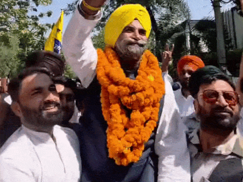 मोहाली नगर निगम में AAP की जीत:27 सीटों के साथ मिला बहुमत, अब मेयर पद के लिए अलग-अलग दावेदारी; यह हैं दावेदार