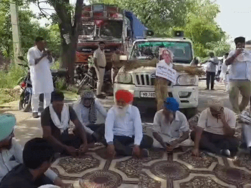 सूरजमुखी की खरीद शुरू न होने पर किसानों का धरना:कुरुक्षेत्र में अवैध वसूली करने वाले आढ़तियों पर एफआईआर की मांग
