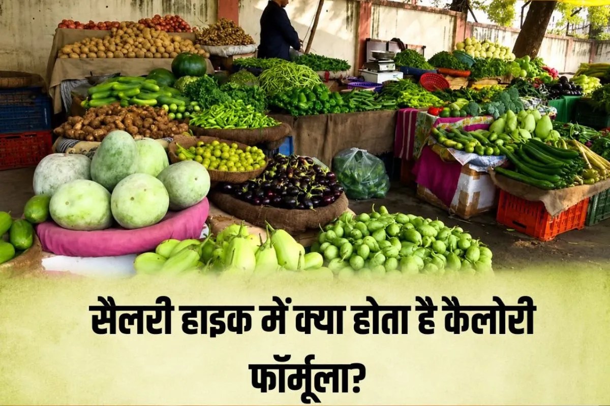 8th Pay Commission: अनाज और सब्जियों की कीमतों से तय हो सकती है सरकारी कर्मचारियों की सैलरी, क्या है 3490 कैलोरी का प्रस्तावित फॉर्मूला?