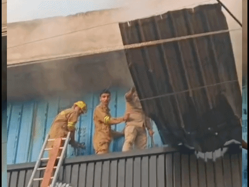 कासगंज में शॉर्ट सर्किट से शोरूम में आग लगी:20 लाख का नुकसान, दमकल की 3 गाड़ी मौके पर पहुंची