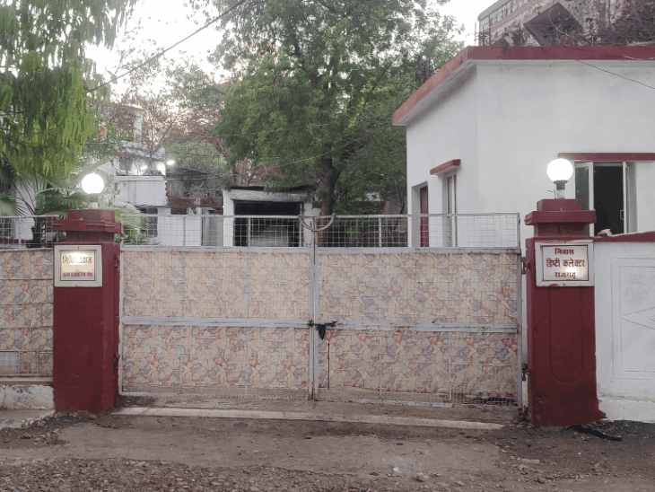 अफसरों के घरों से चोरी हो रहे चंदन के पेड़:राजगढ़ में डिप्टी कलेक्टर के बंगले से काटा पेड़, एक दिन पहले DFO आवास से हुई थी चोरी
