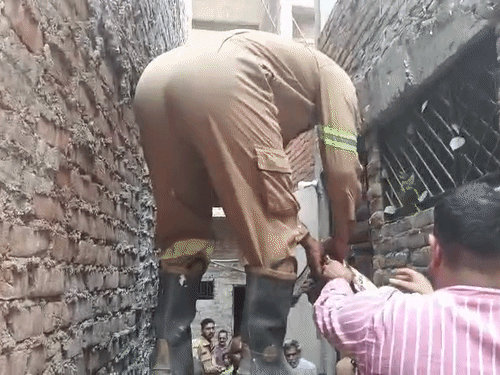 बिल्ली के बच्चे का फायर ब्रिगेड ने किया रेस्क्यू:बाबूपुरवा में कुत्तों के दौड़ाने पर 25 फीट ऊंचे पिलर में फंसा, एक घंटे में बचाया