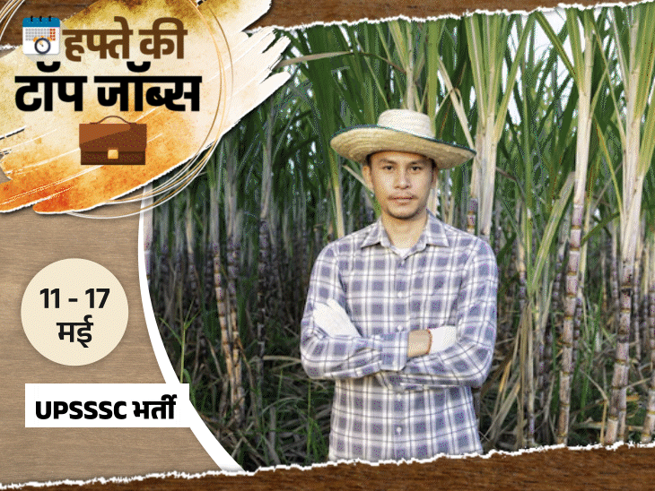 हफ्ते की टॉप जॉब्स:रेलवे में 11,127 वैकेंसी; बिहार पुलिस में 15,821 पदों पर भर्ती; इस हफ्ते निकलीं 29,932 नौकरियां