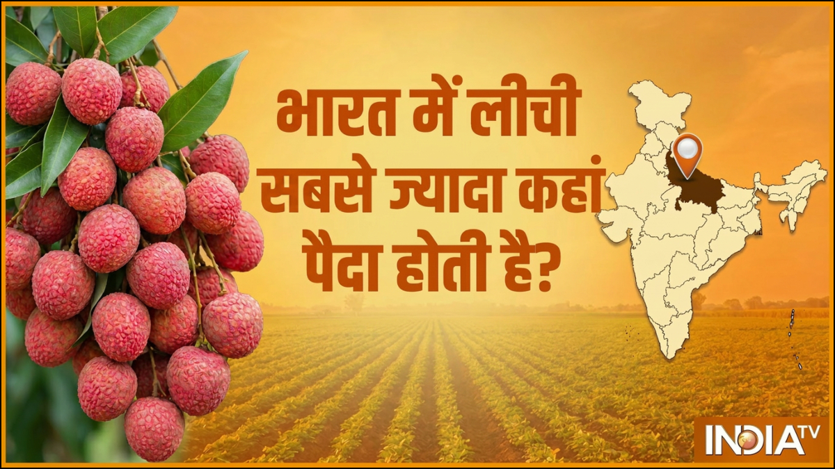 भारत में किस जगह को कहा जाता है ‘लीची कैपिटल ऑफ द वर्ल्ड’, कहां सबसे ज्यादा पैदा होती हैं लीची