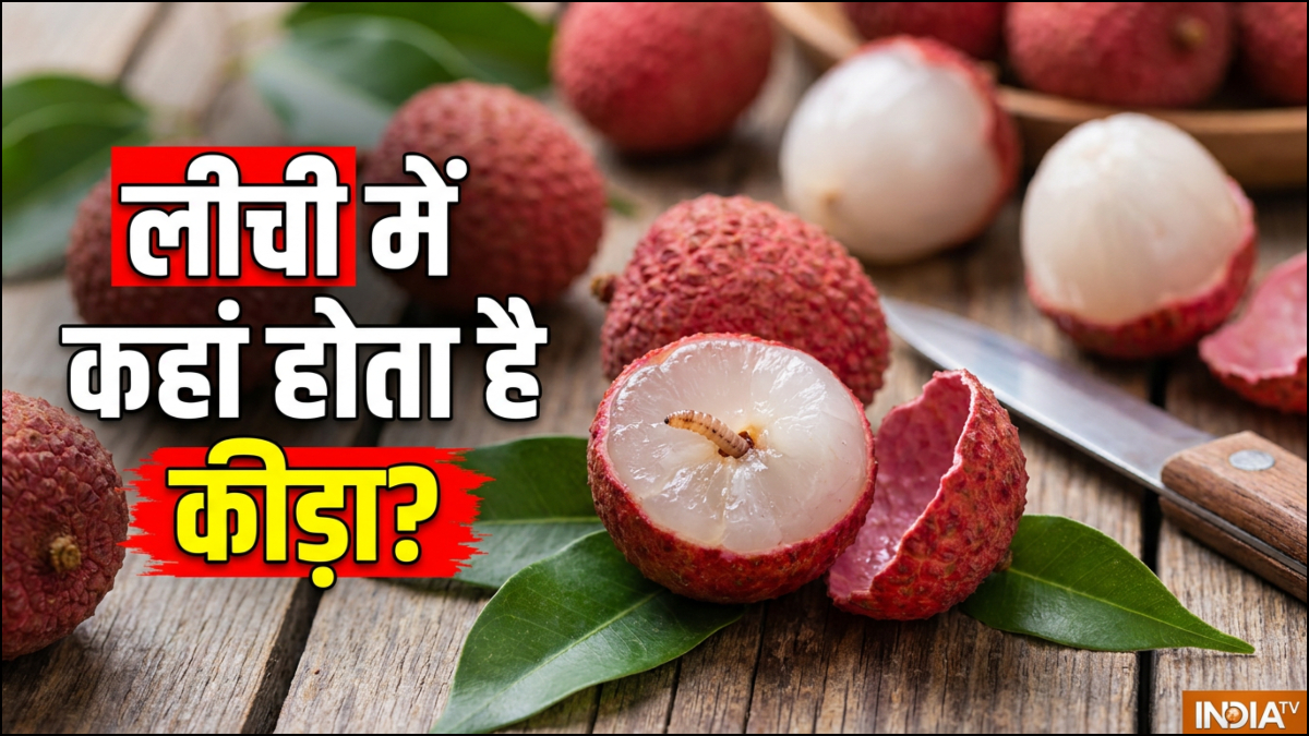 लीची में कीड़ा कहां छुपा होता है, खाने से पहले जान लें पहचान लें
