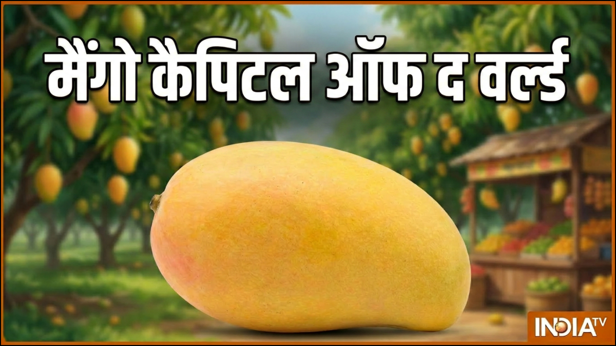 ‘मैंगो कैपिटल ऑफ द वर्ल्ड’ किस देश के कौन से शहर को कहा जाता है, दुनिया में धूम मचाते हैं यहां के आम