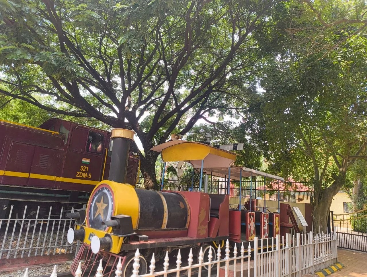 अंतरराष्ट्रीय संग्रहालय दिवस विशेष: टॉय ट्रेन से थिएटर कोच तक, यहां हर कोना सुनाता है भारतीय रेल की कहानी