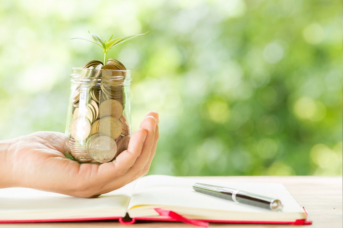 Share Market में गिरावट के बावजूद मिडकैप-स्मॉलकैप में बंपर इनफ्लो, बदल रहा निवेश का तरीका