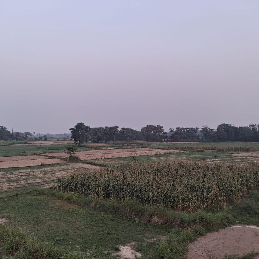 मुजफ्फरपुर के महवल इंडस्ट्रियल एरिया में लगेगी सीमेंट फैक्ट्री:8219 मीट्रिक टन उत्पादन क्षमता, मुजफ्फरपुर समेत उत्तर बिहार के जिलों में बढ़ेंगे रोजगार