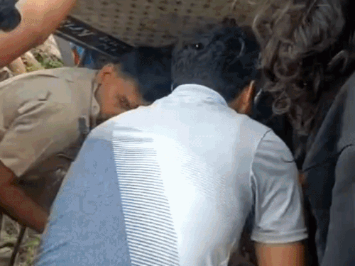 गोवर्धन जा रही वोल्वो बस एक्सप्रेस-वे से नीचे पलटी:अग्रवाल समाज के 50 लोग घायल;एक बच्ची को जयपुर रेफर किया,ड्राइवर को आई थी नींद झपकी